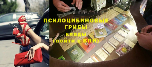 сатива Алексеевка