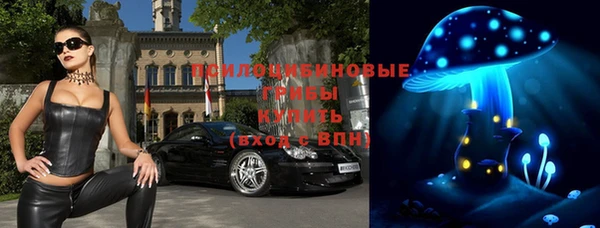 Альфа ПВП Абаза